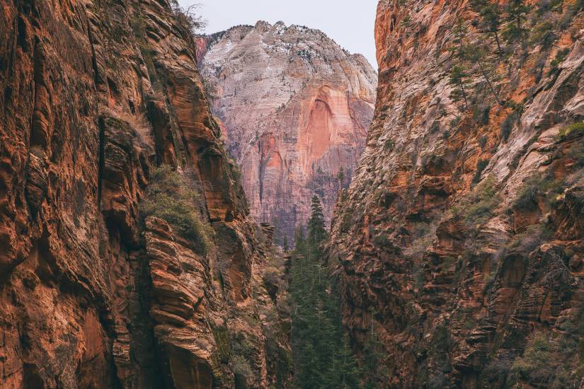 Photo - USA - Zion NP #5